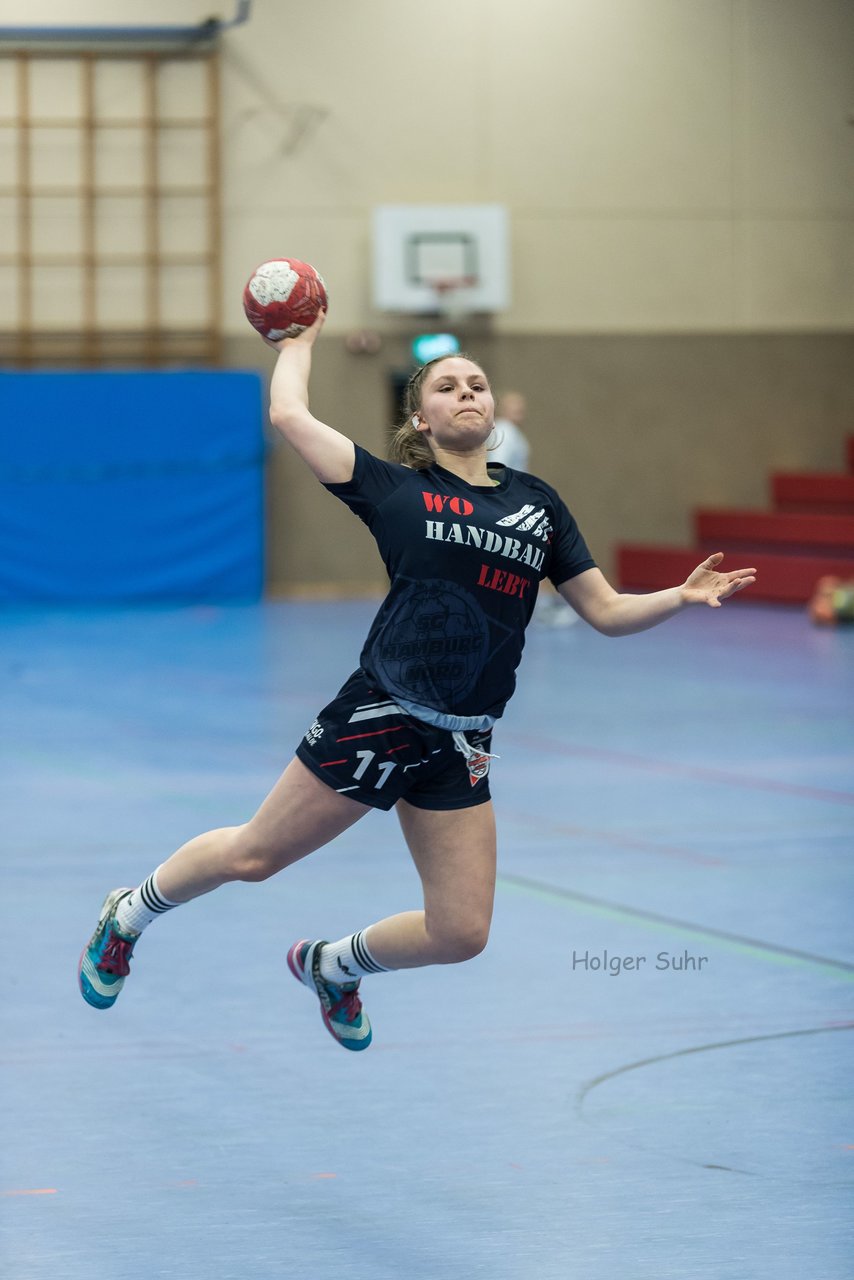 Bild 189 - A-Juniorinnen SG HH Nord - HSG Marne/Brun : Ergebnis: 32:41